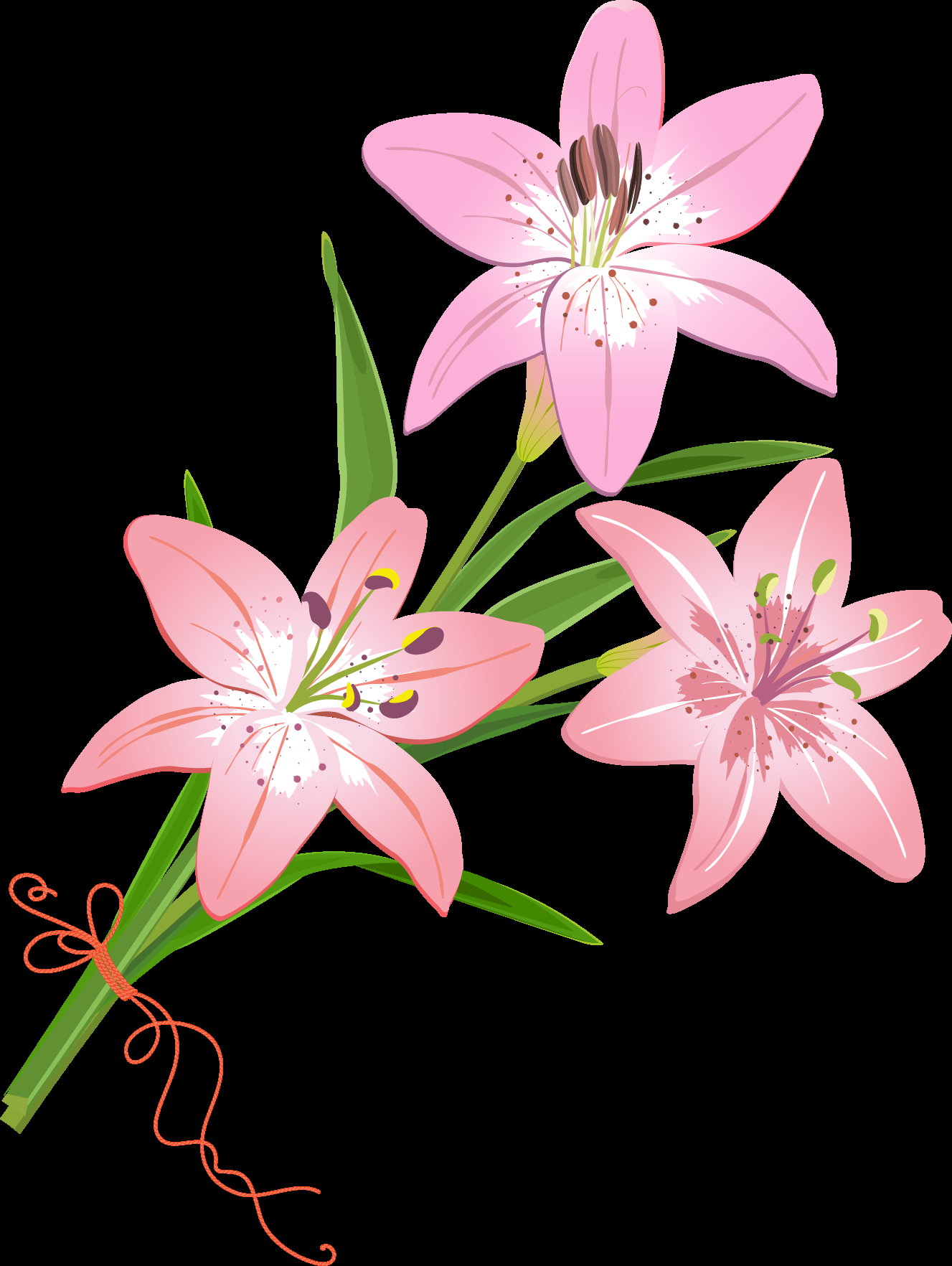 百合花免抠素材39