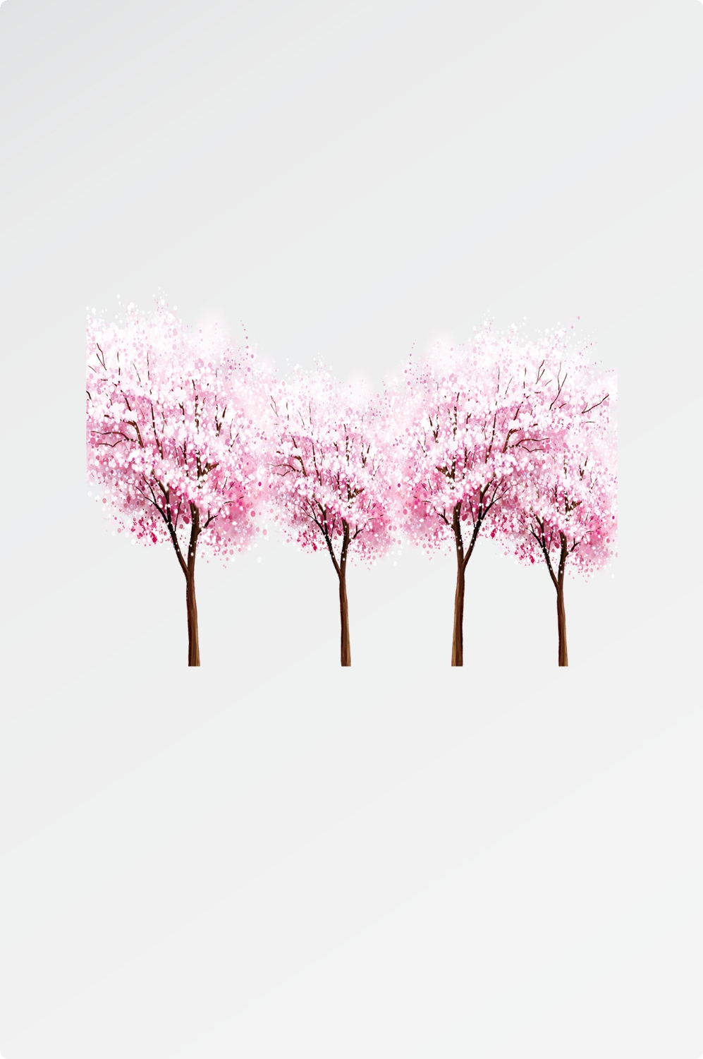 唯美樱花花树花枝樱花飘落图片装饰插图免抠43