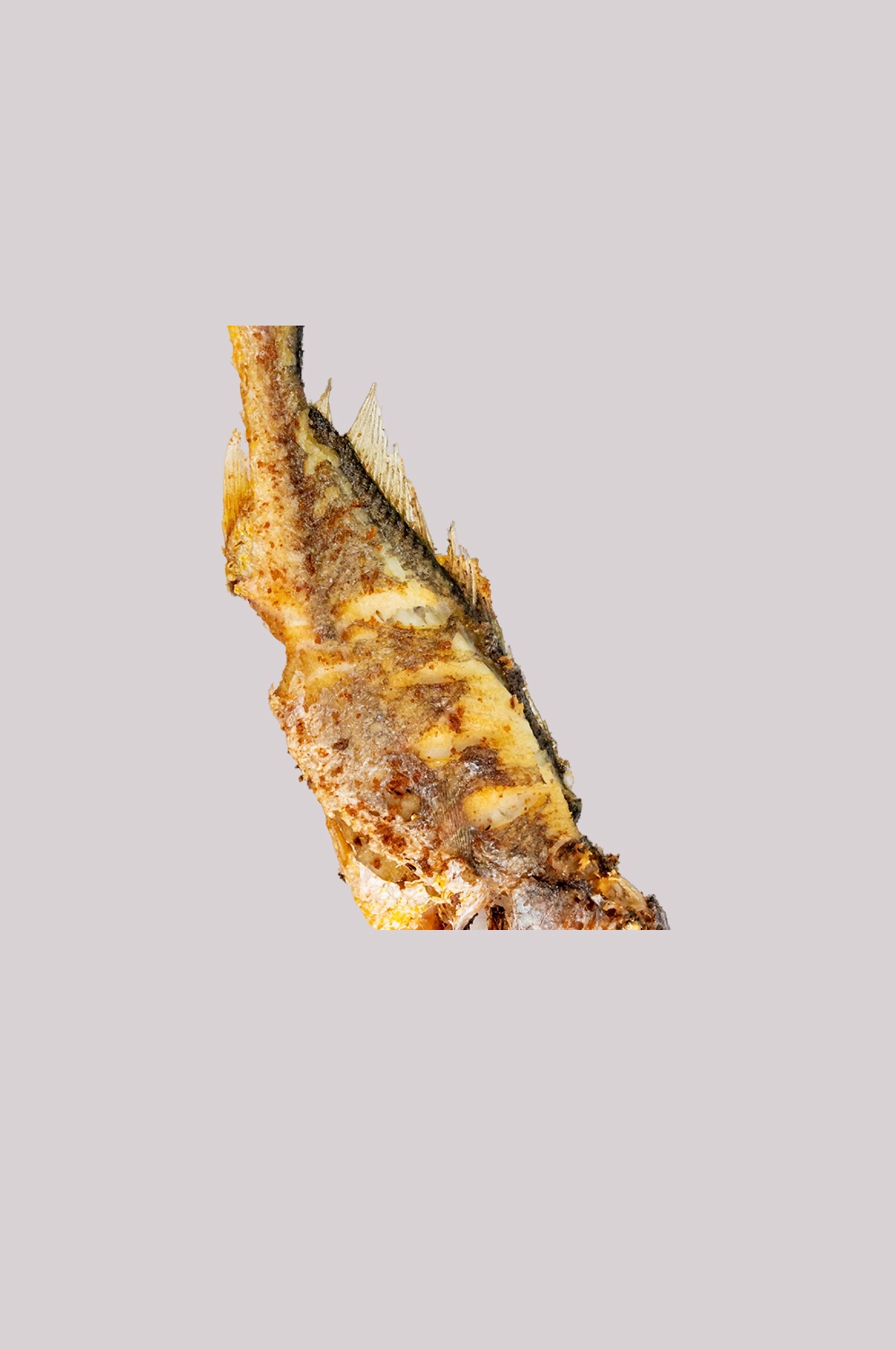 海鲜食材带鱼黄鱼素材图片元素插图免抠47
