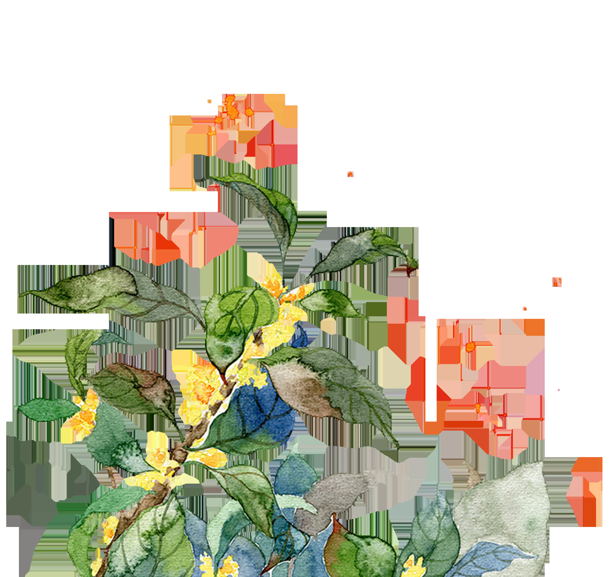 卡通手绘桂花花枝图案素材元素4
