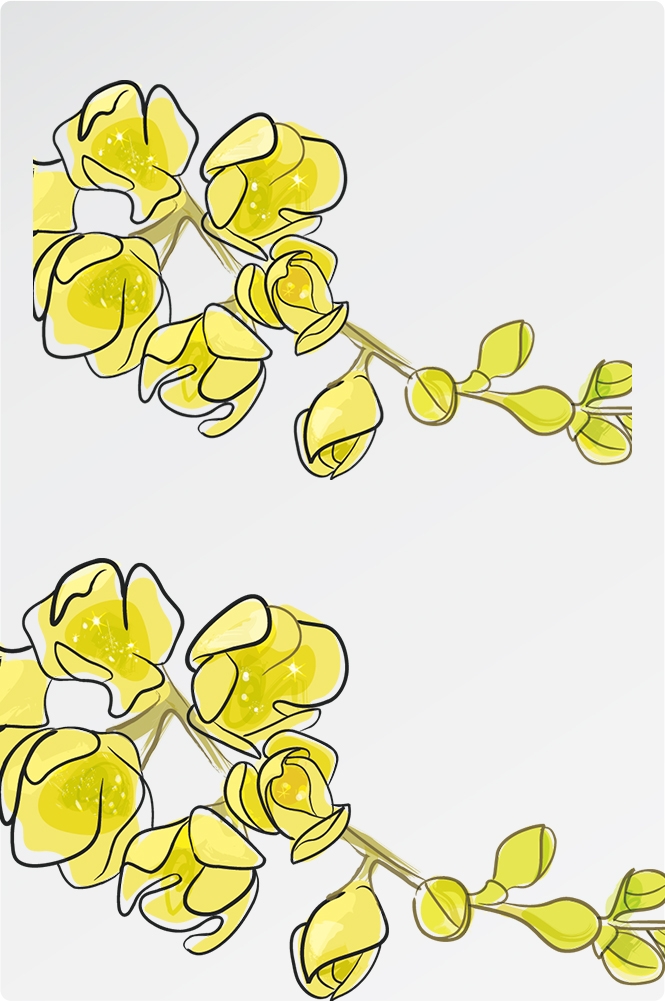 卡通手绘桂花花枝图案素材元素14