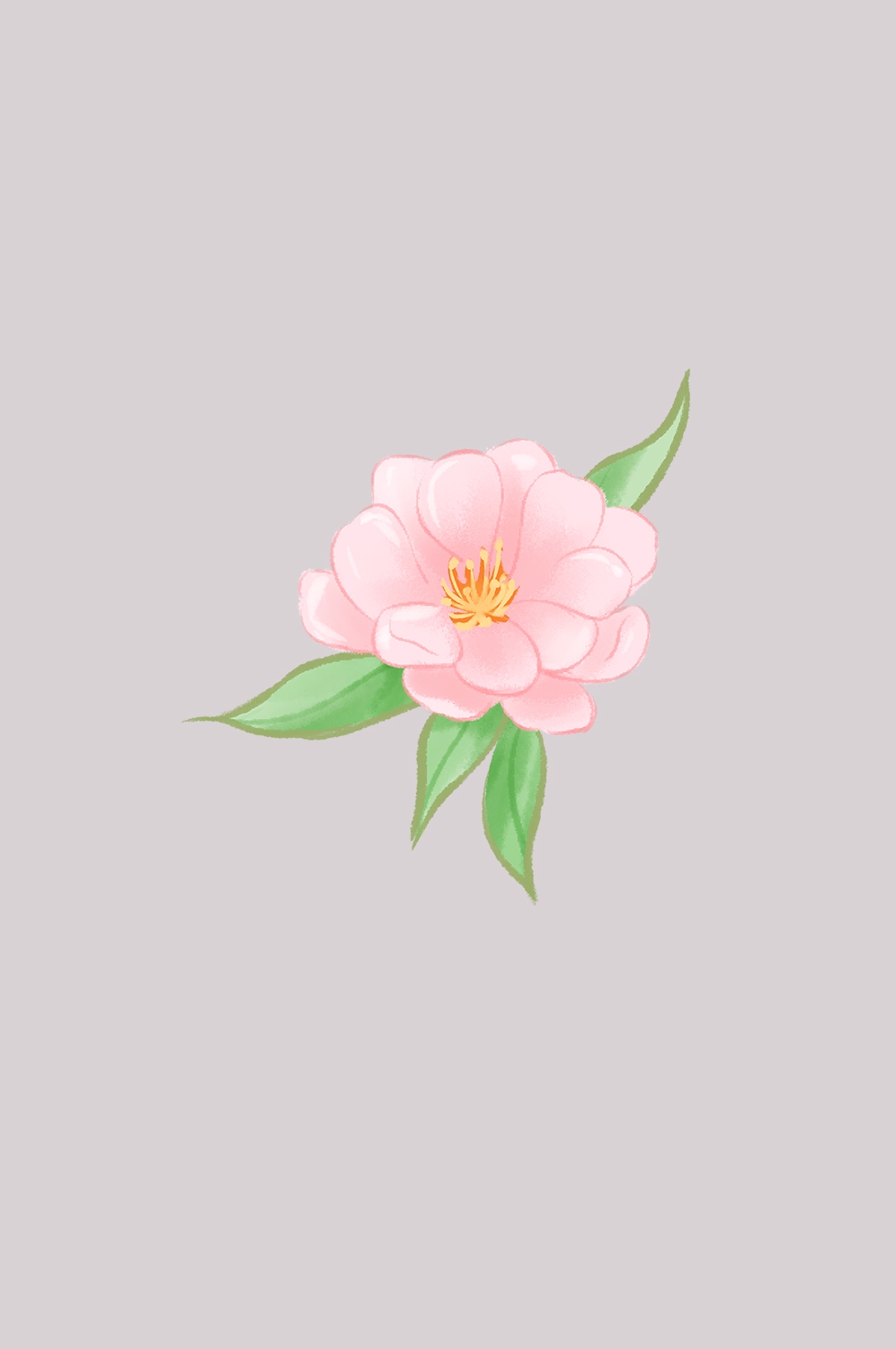 海棠花免抠元素装饰图案插画7