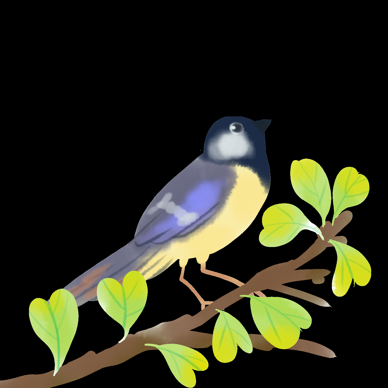 水彩手绘小鸟树枝花枝上的小鸟插画素材免抠2