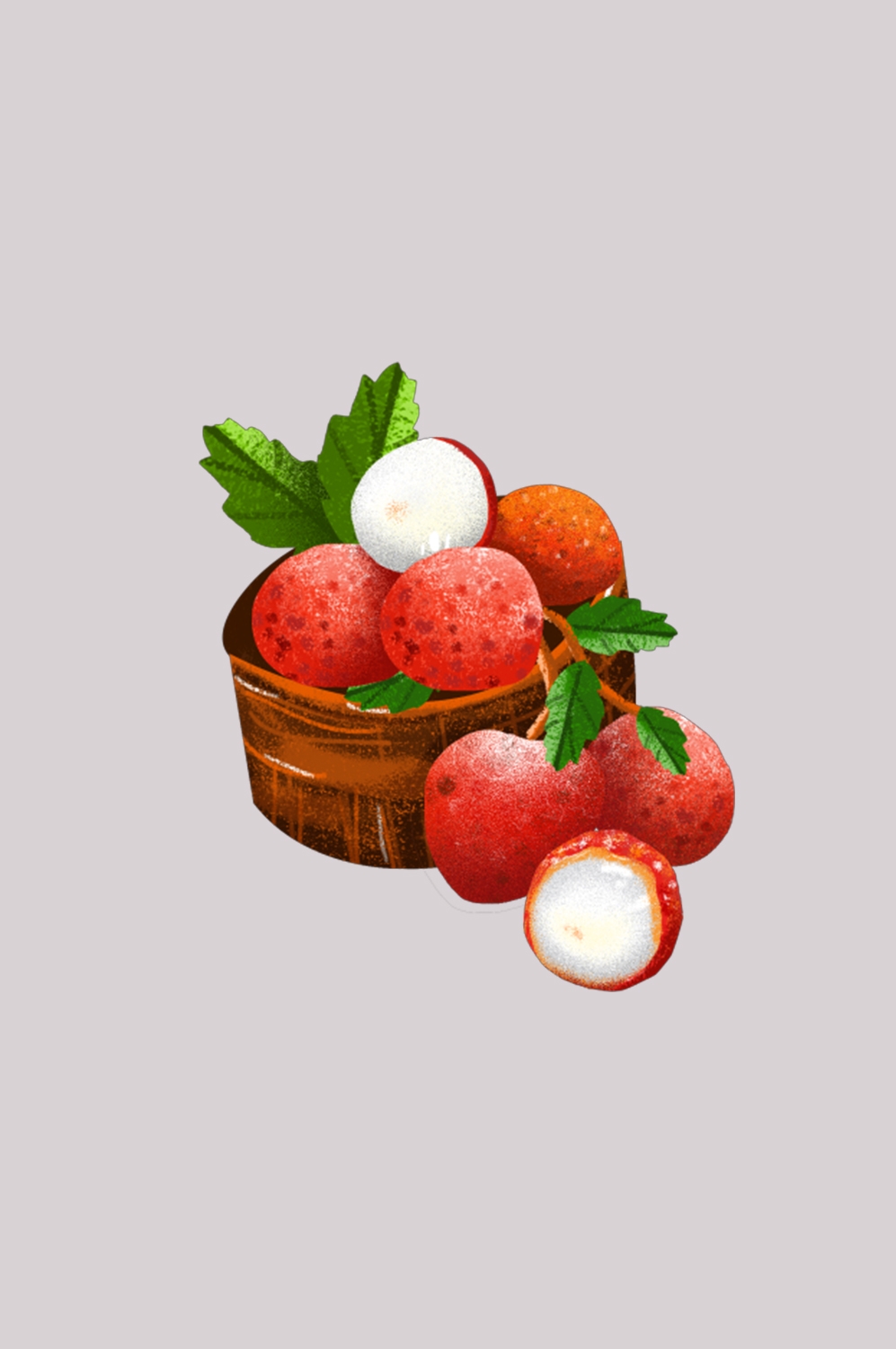 手绘荔枝图片素材装饰元素插画 png透明背景 (69)