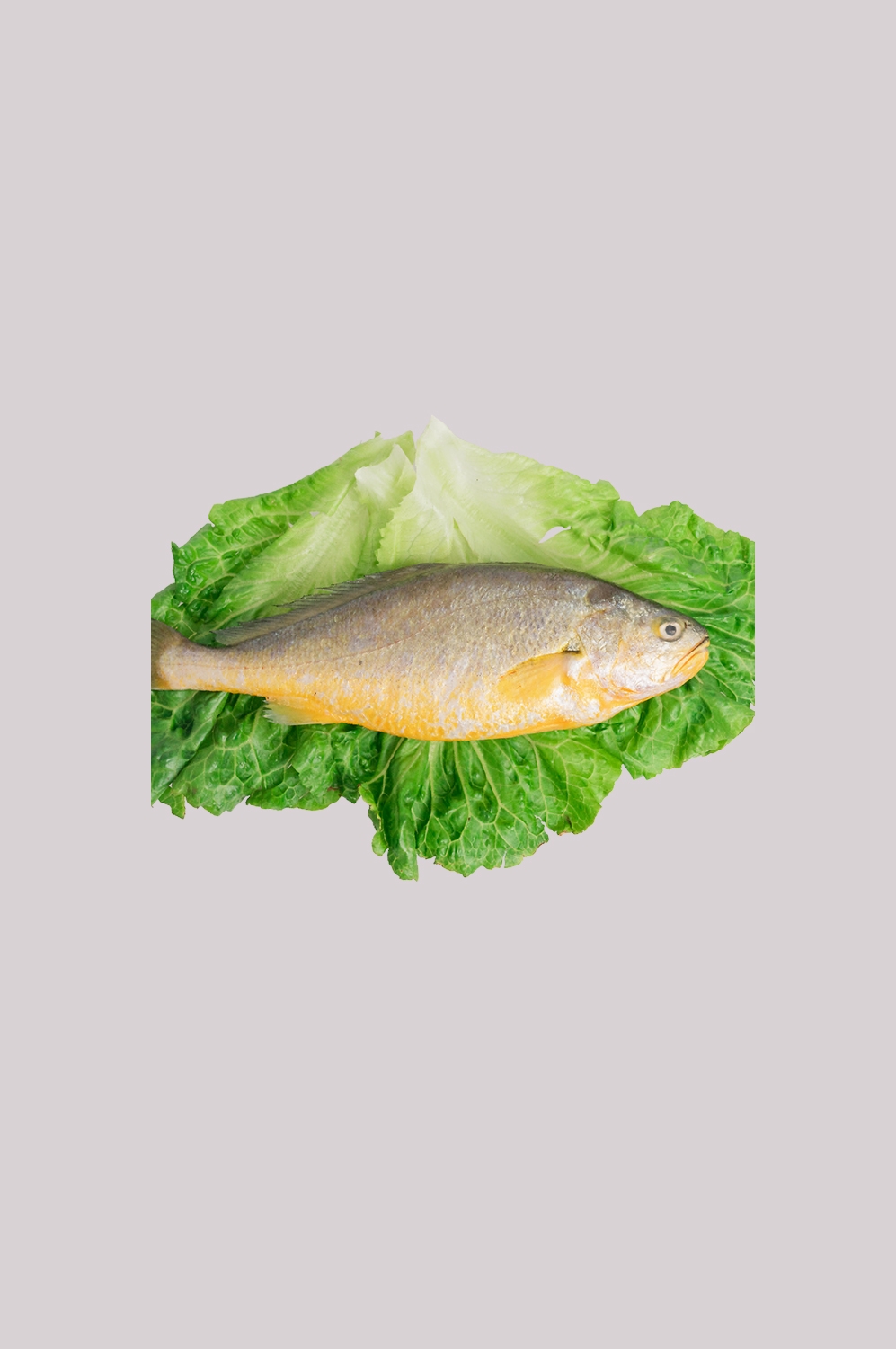 海鲜食材带鱼黄鱼素材图片元素插图免抠7