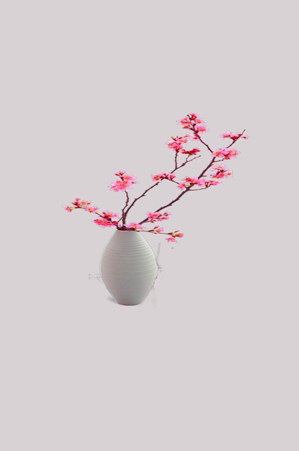 桃花素材图中国风海报设计桃树花枝透明背景81