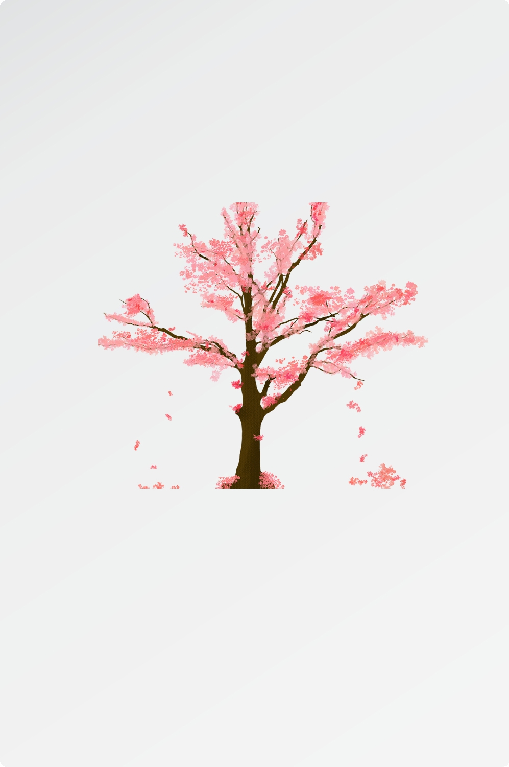 唯美樱花花树花枝樱花飘落图片装饰插图免抠2
