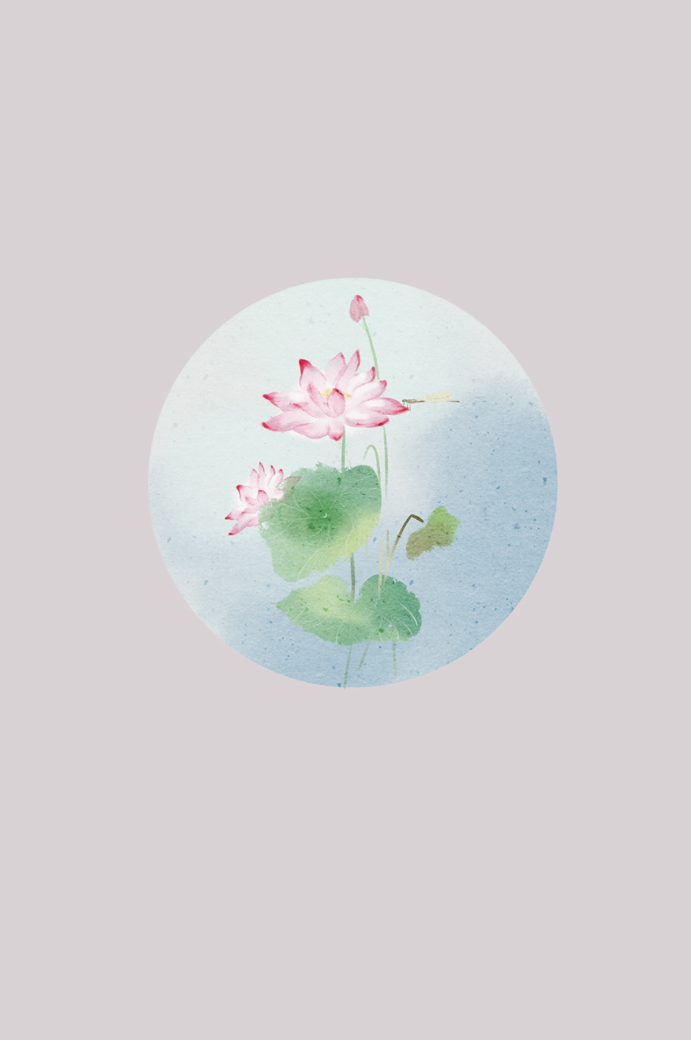 荷叶荷花素材插画装饰元素透明背景免抠素材32