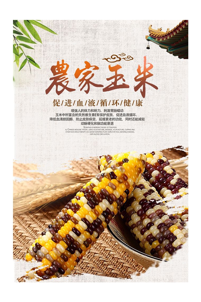 餐饮美食PSD海报背景模板优质玉米食材促销宣传单广告设计素材 (16)
