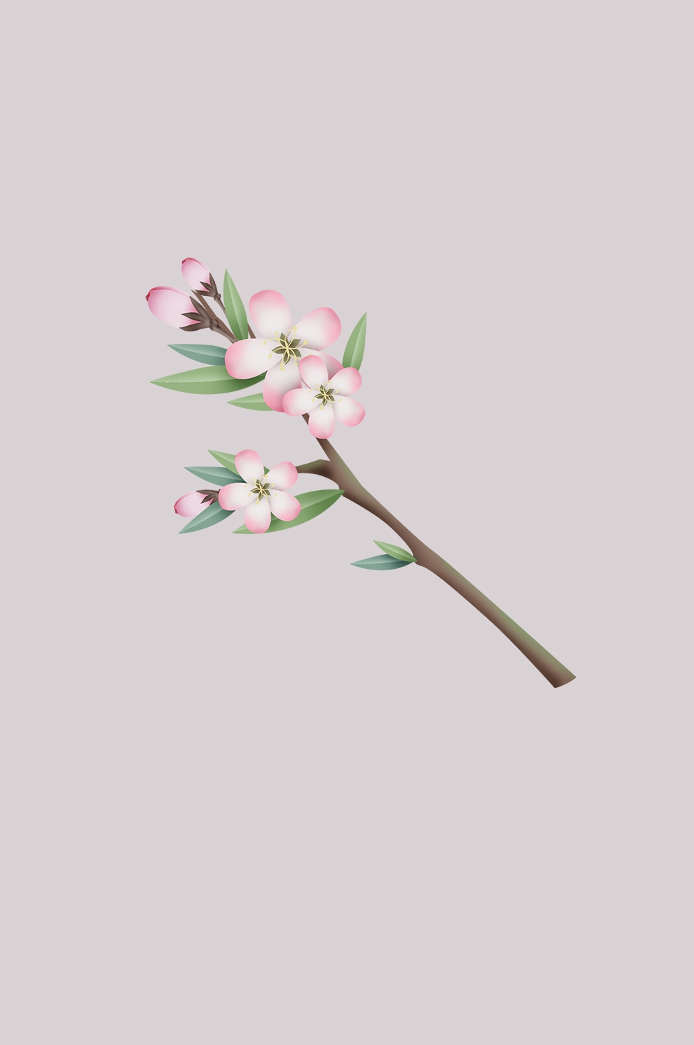 海棠花免抠元素装饰图案插画49