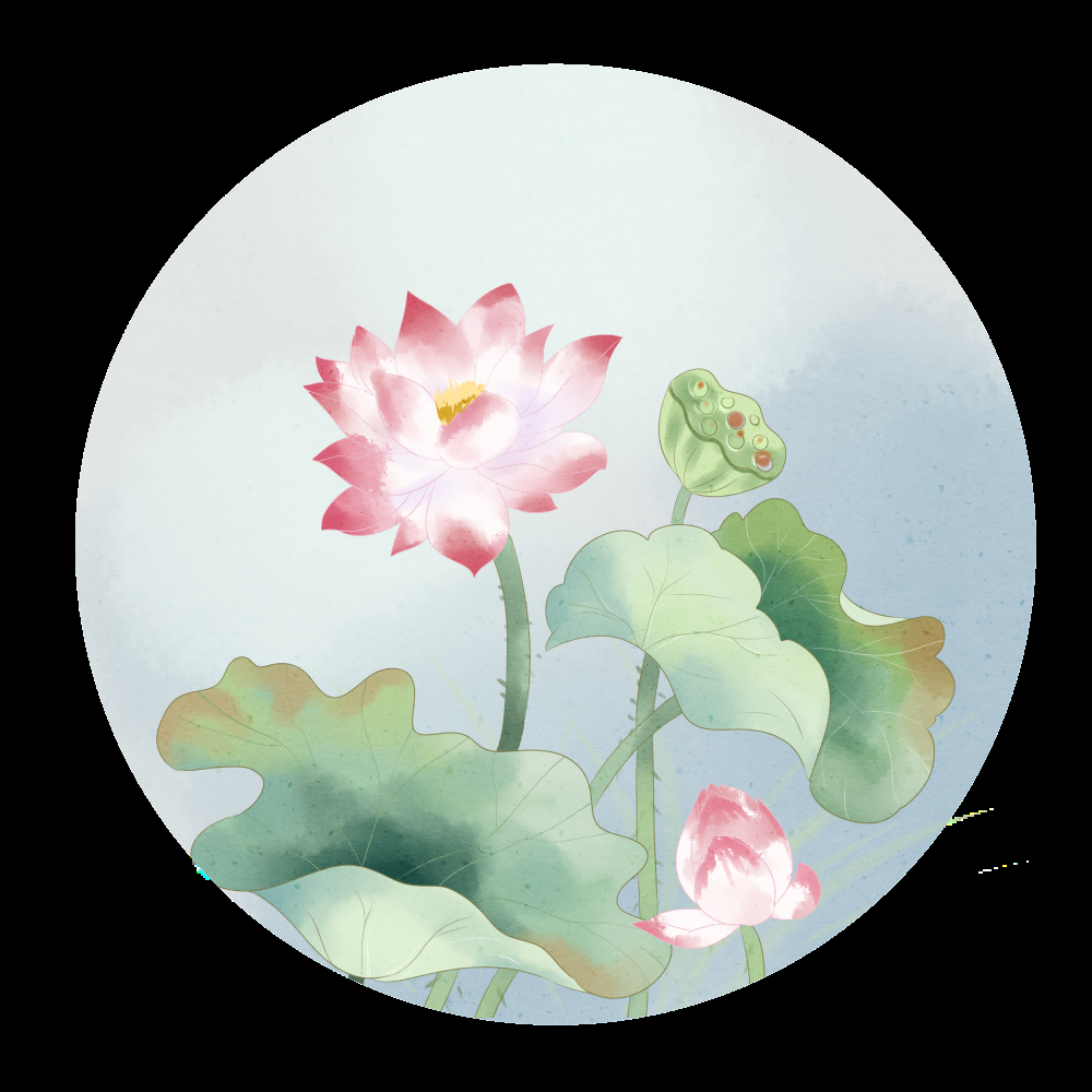 荷叶荷花素材插画装饰元素透明背景免抠素材34
