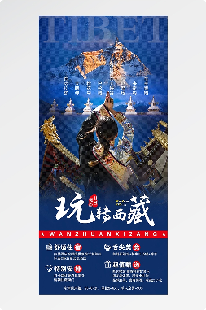 西藏拉萨布达拉宫川藏藏南灵芝日喀则海报易拉宝素材37