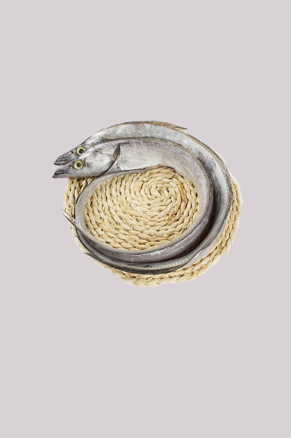 海鲜食材带鱼黄鱼素材图片元素插图免抠16