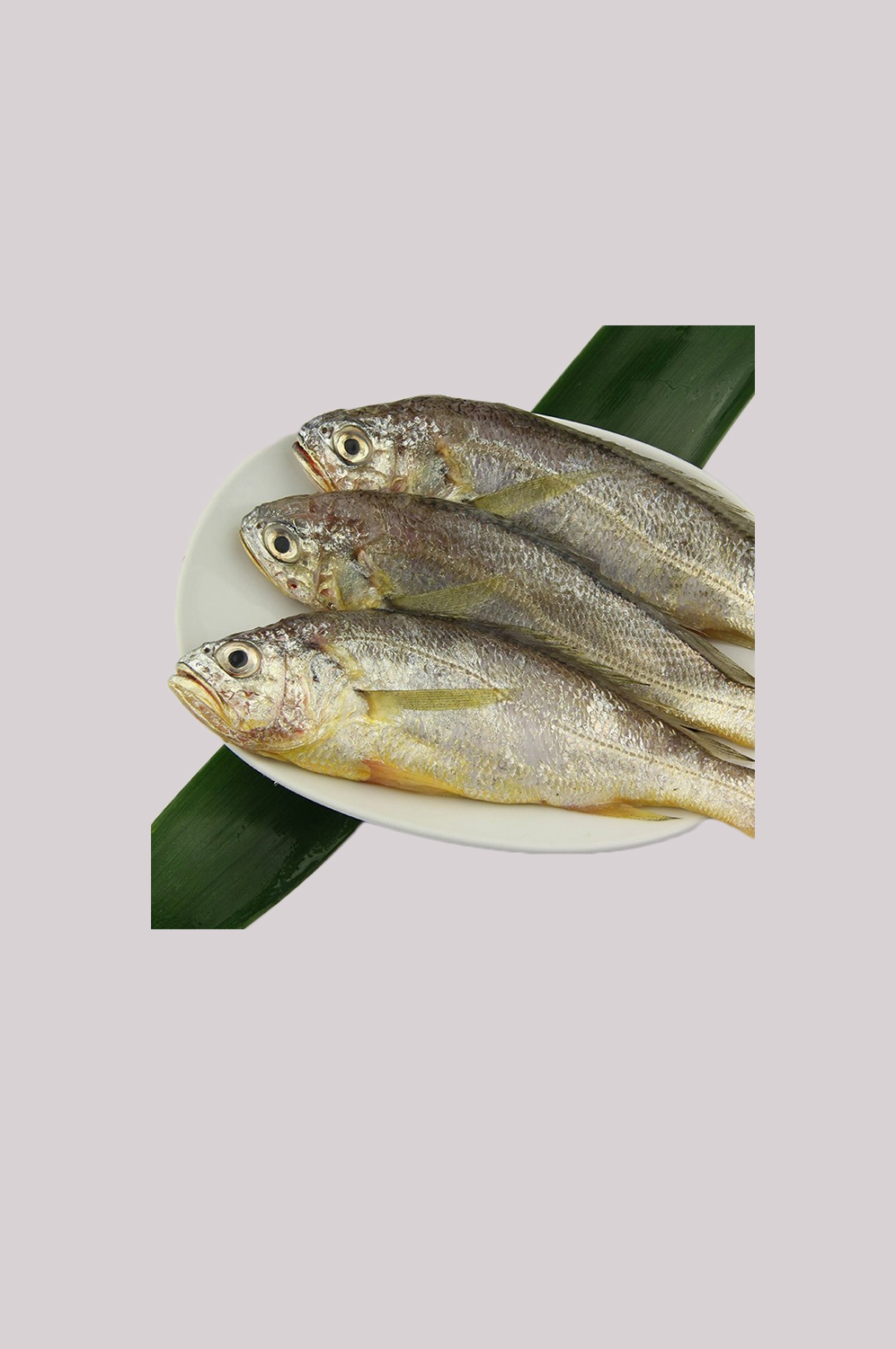 海鲜食材带鱼黄鱼素材图片元素插图免抠37
