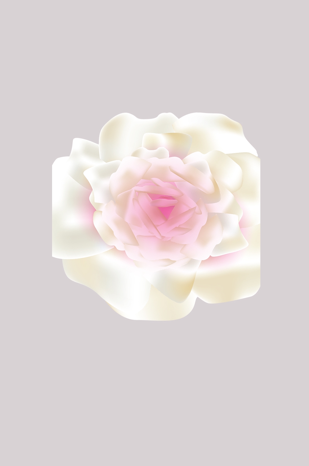 山茶花图片装饰图案插画素材46