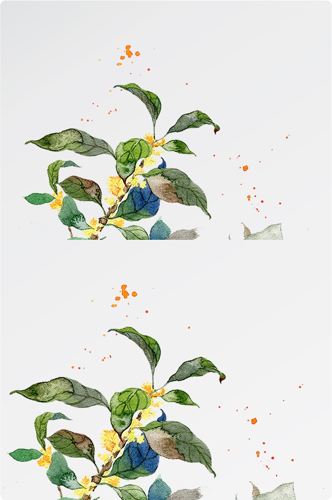 卡通手绘桂花花枝图案素材元素4