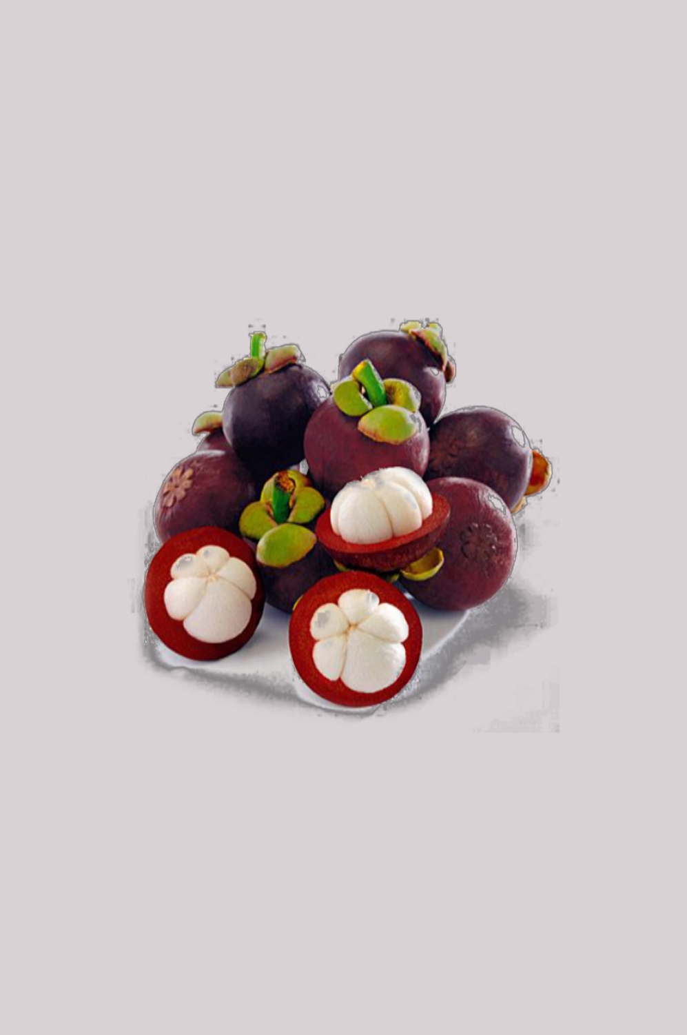 水果山竹图片插画装饰元素免抠元素 (3)