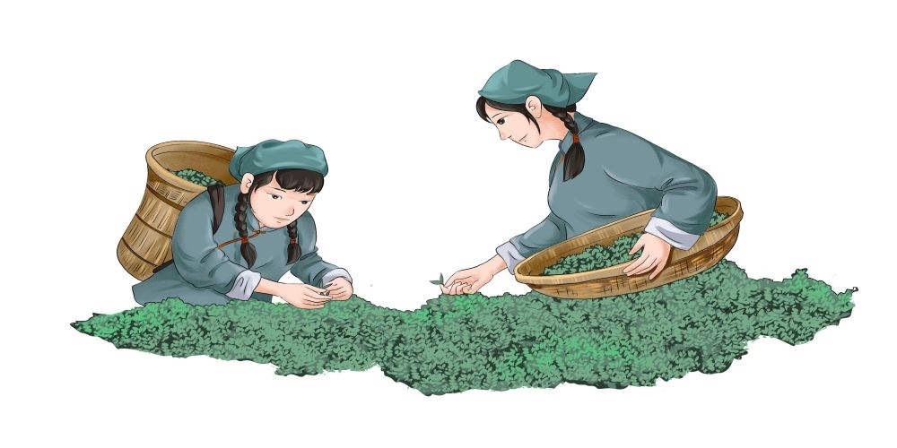 国风古代茶叶摘茶品茶人物插画传统工艺手工制作民间古典集市素材 (1)