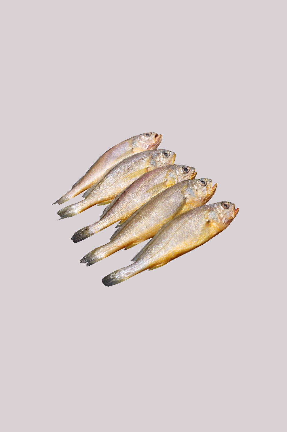 海鲜食材带鱼黄鱼素材图片元素插图免抠66