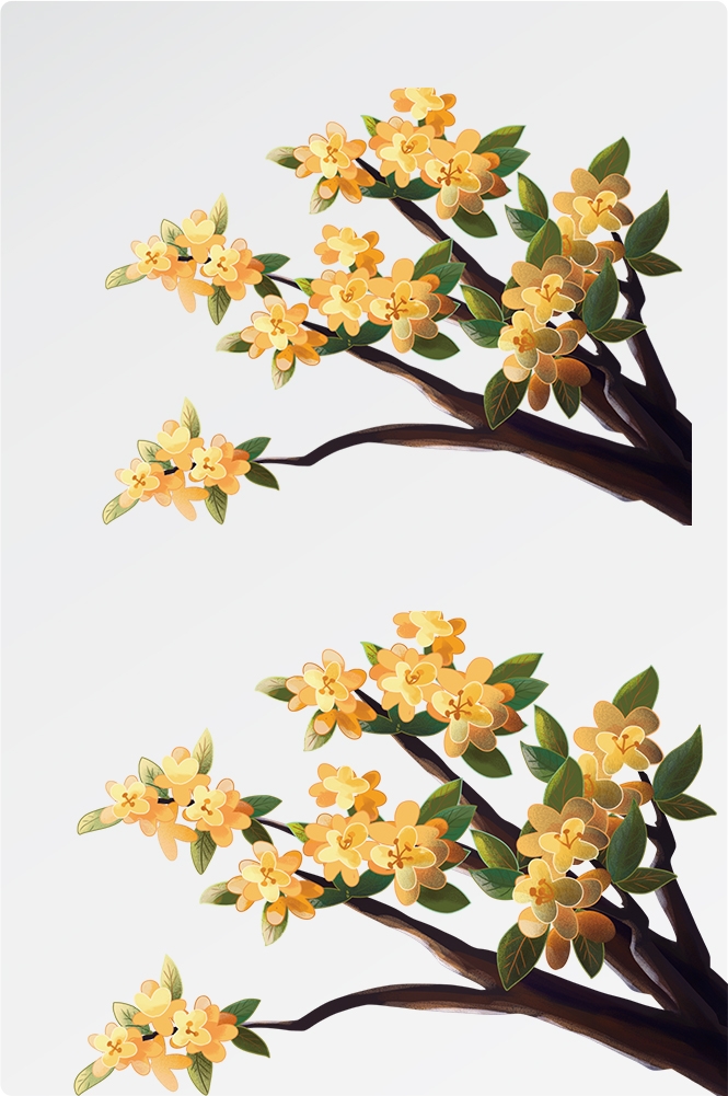 卡通手绘桂花花枝图案素材元素23