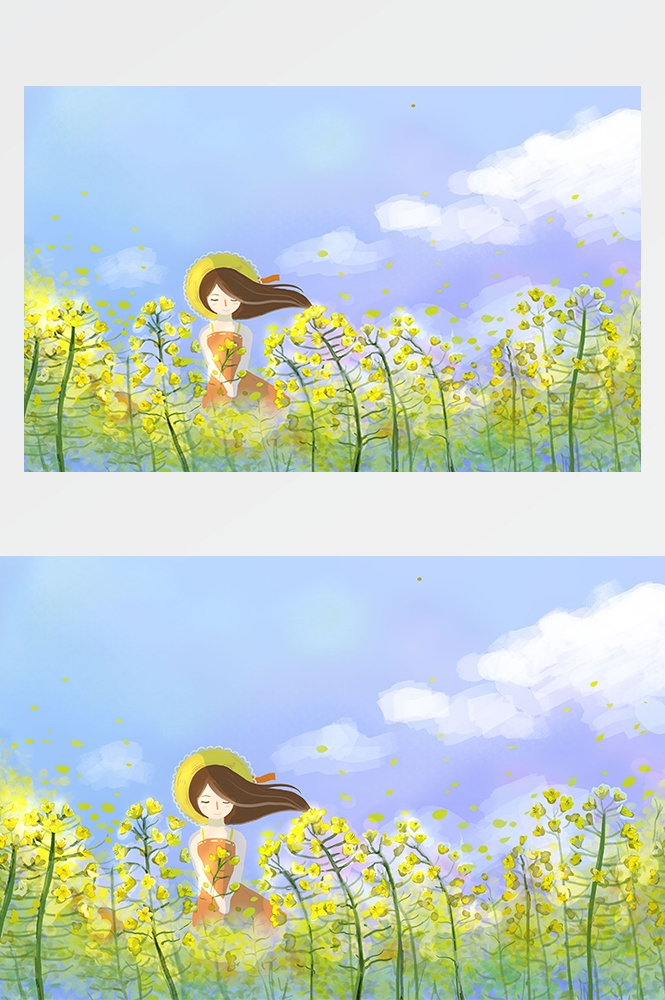 油菜花开田野风景背景插画图片banner海报26
