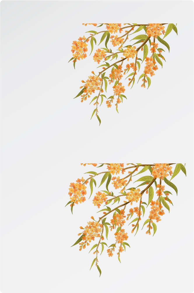 卡通手绘桂花花枝图案素材元素1
