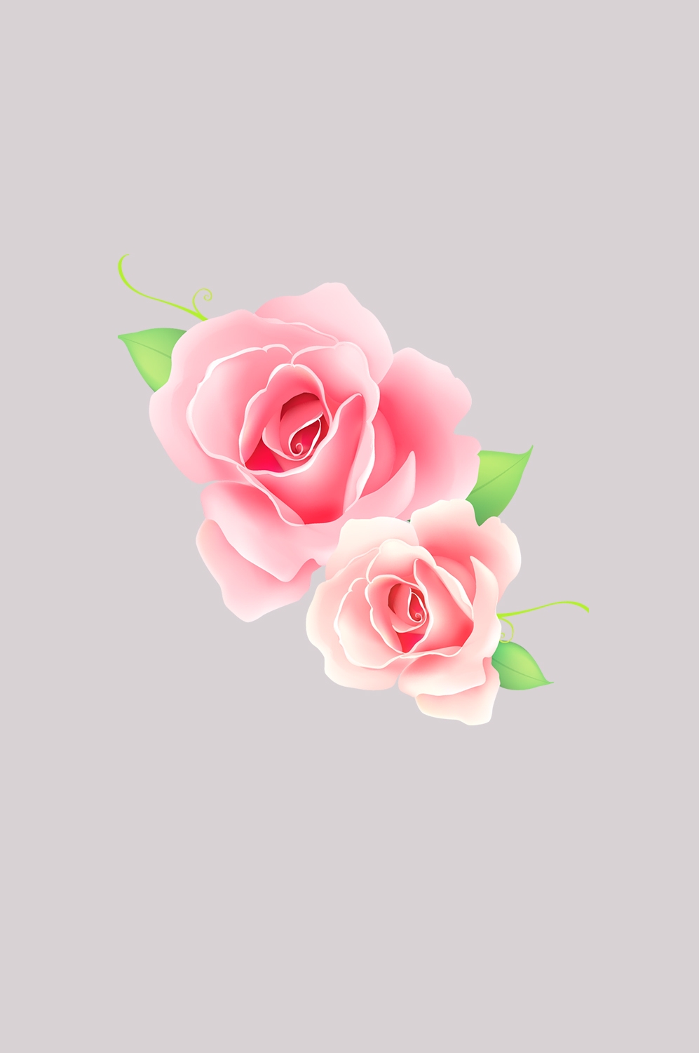 山茶花图片装饰图案插画素材20