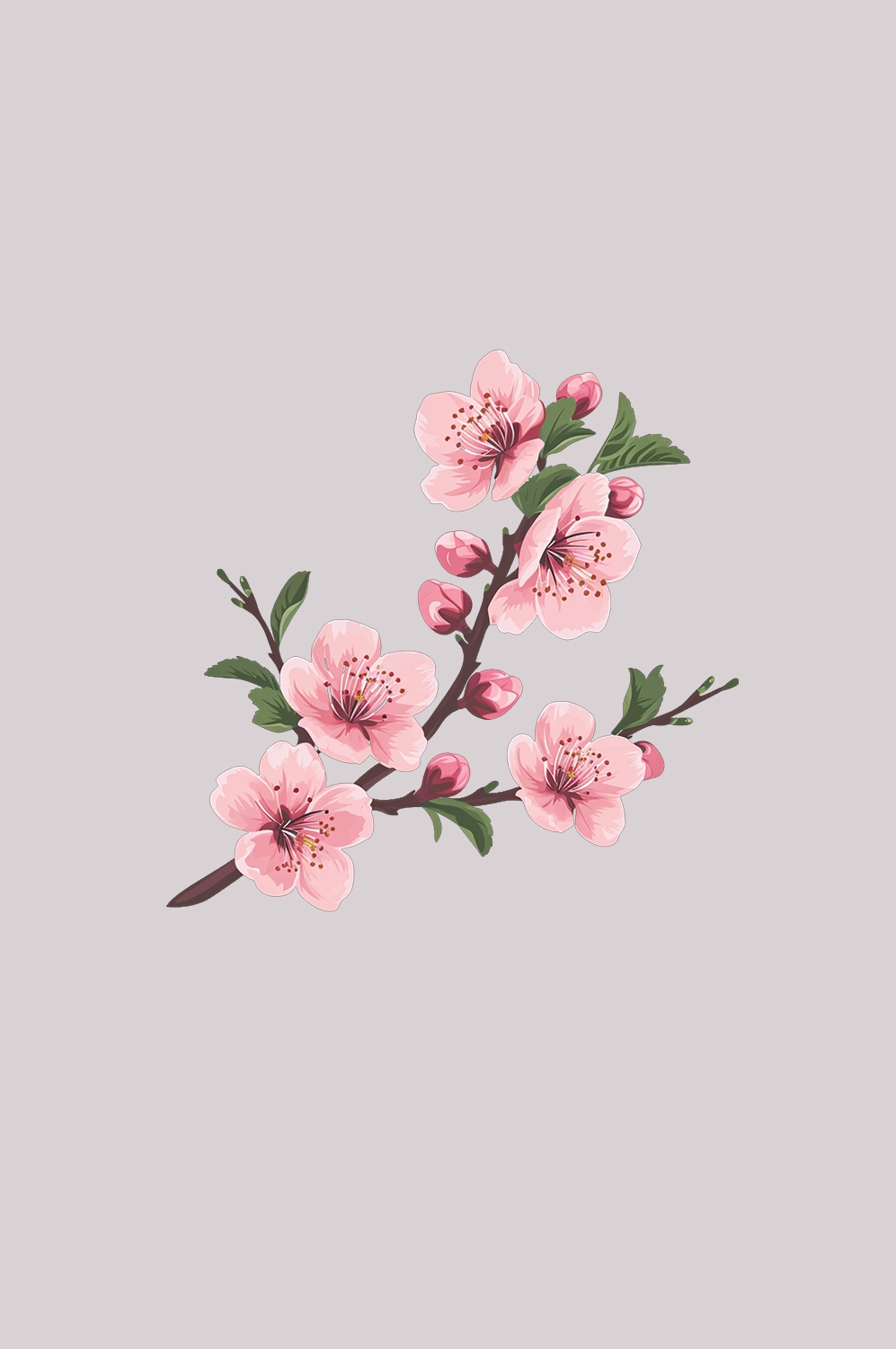 桃花素材图中国风海报设计桃树花枝透明背景85