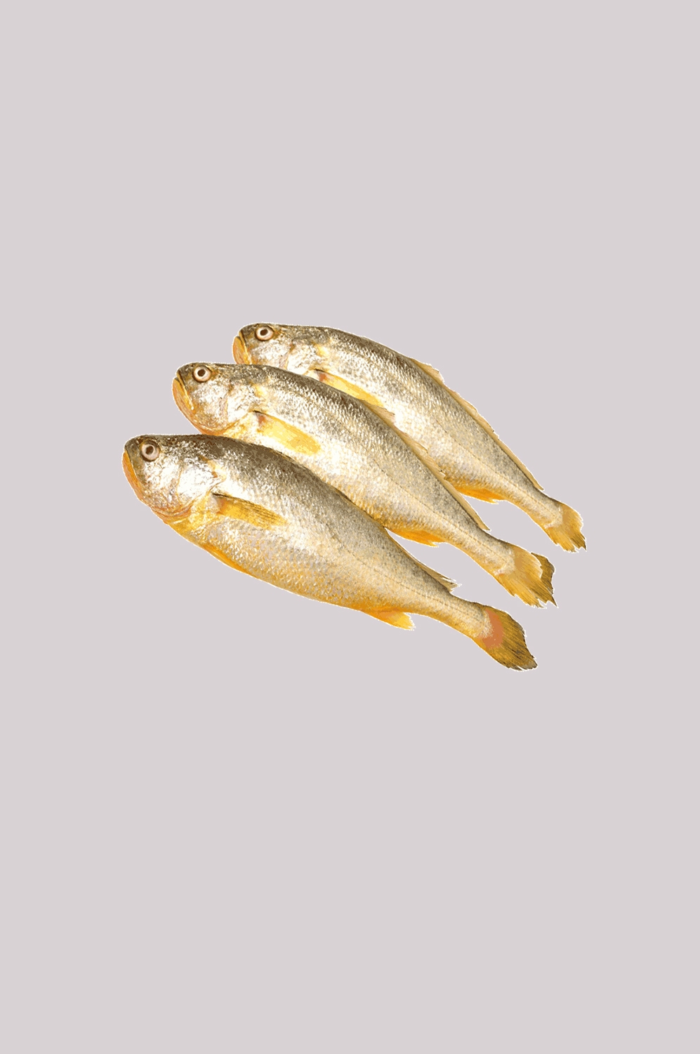 海鲜食材带鱼黄鱼素材图片元素插图免抠33
