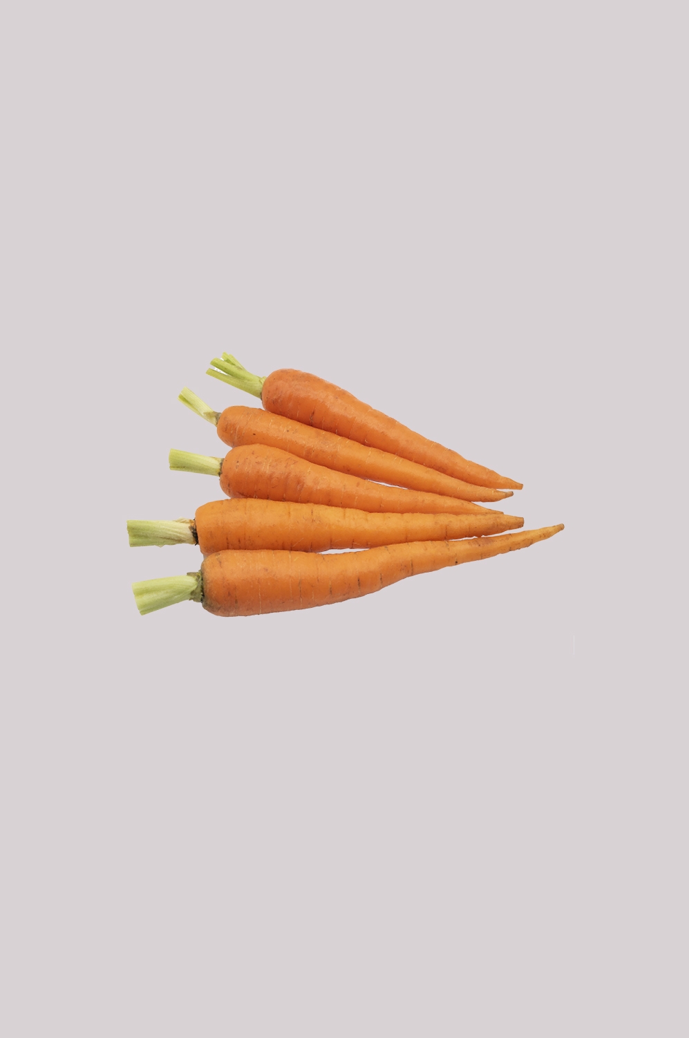 蔬菜食材切开的胡萝卜免抠元素17
