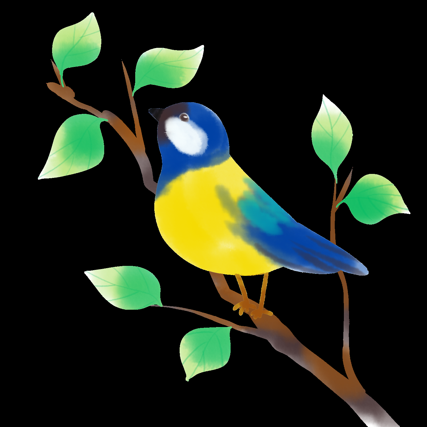 水彩手绘小鸟树枝花枝上的小鸟插画素材免抠6