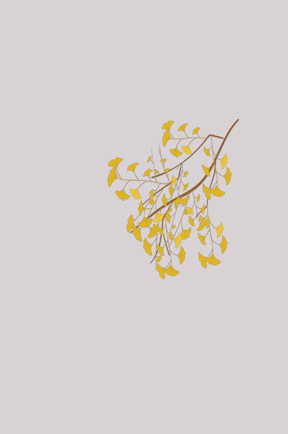 银杏叶树枝插画装饰元素免抠素材32