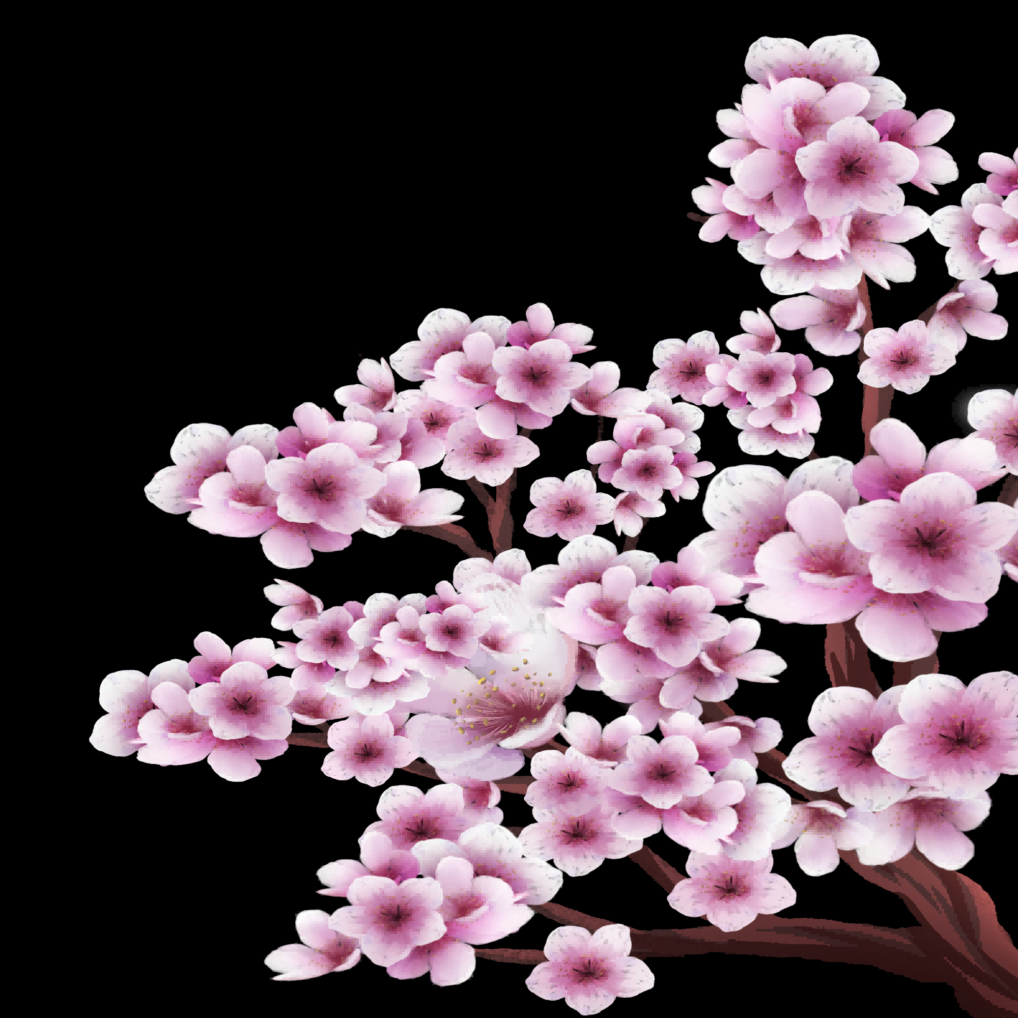 桃花素材图中国风海报设计桃树花枝透明背景33