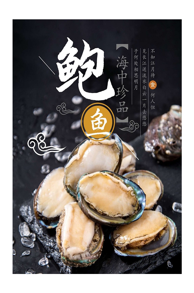 海报背景模板海鲜鲍鱼食材促销宣传单23