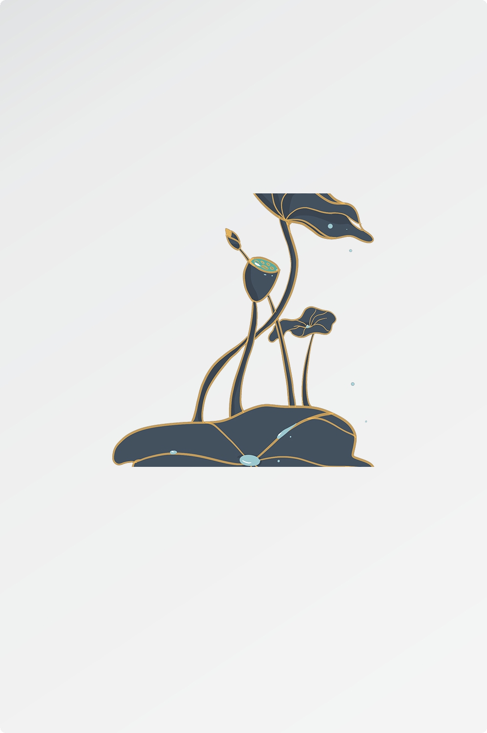 荷花荷叶素材图片插画装饰元素插图免抠8