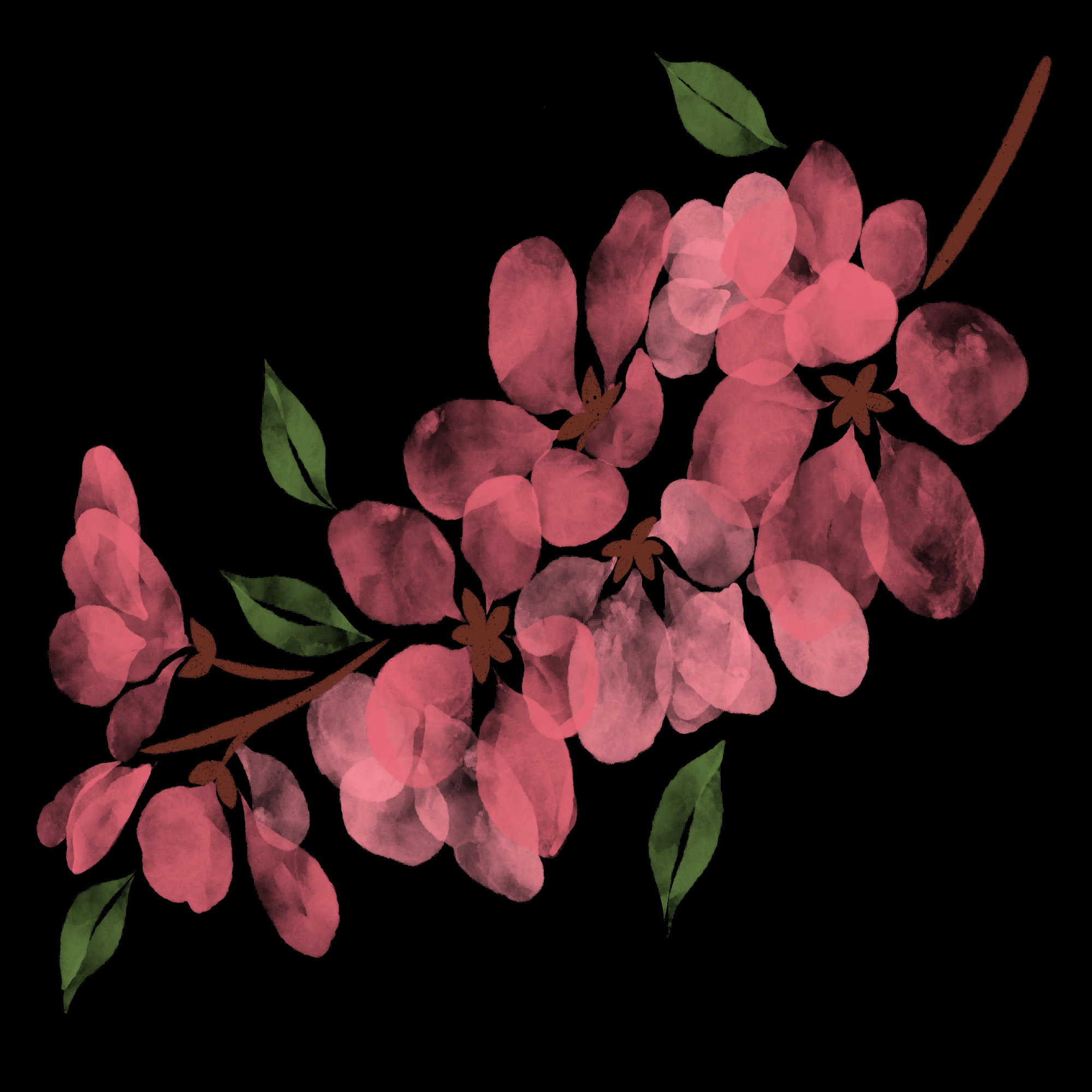 桃花素材图中国风海报设计桃树花枝透明背景41