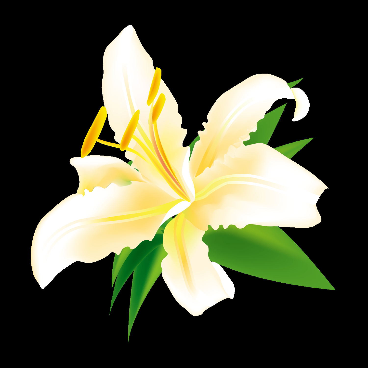 百合花免抠素材6