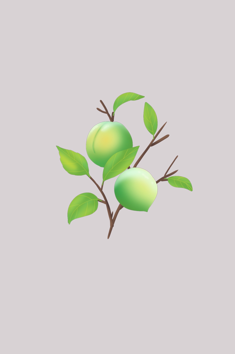 卡通手绘水果青梅图案素材图片装饰插画免抠97