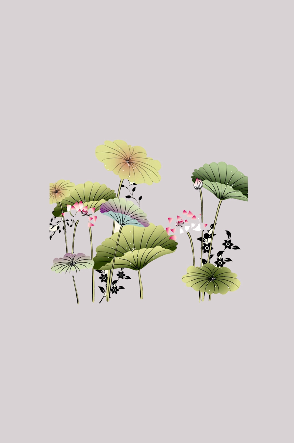 荷叶荷花素材插画装饰元素透明背景免抠素材51