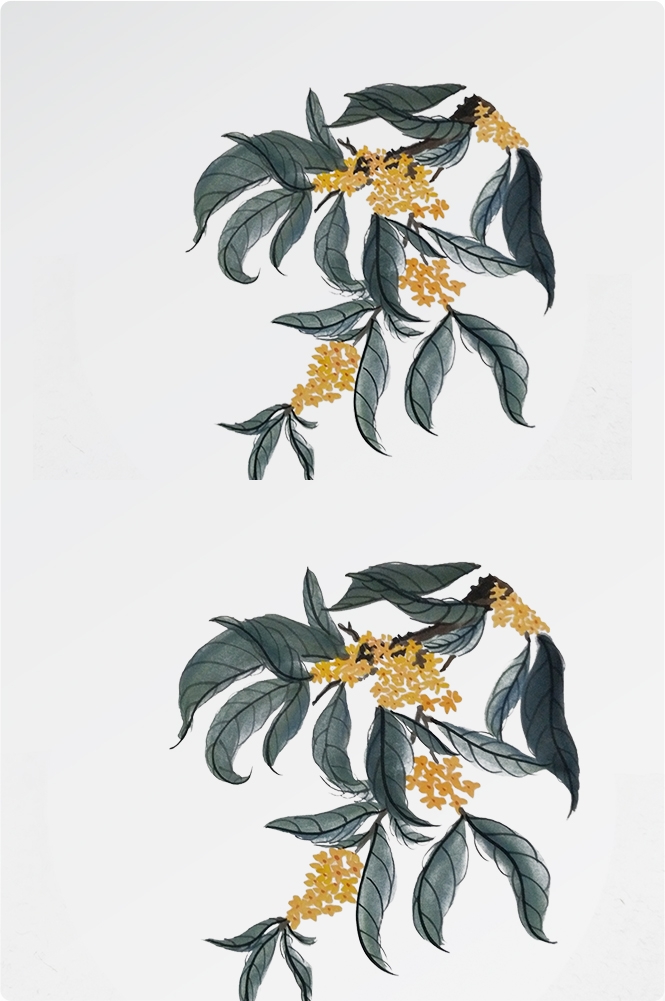 卡通手绘桂花花枝图案素材元素13