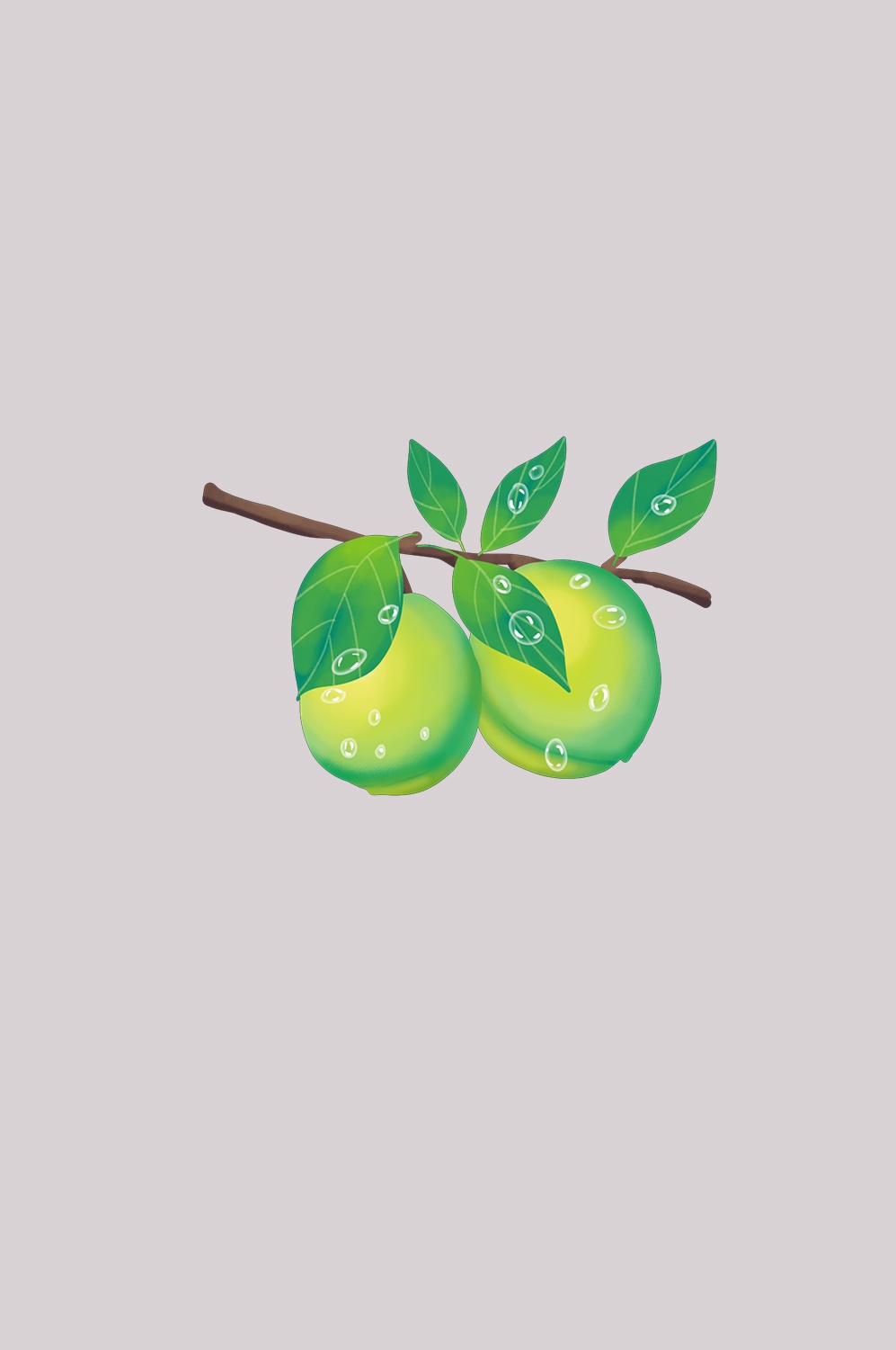 卡通手绘水果青梅图案素材图片装饰插画免抠93