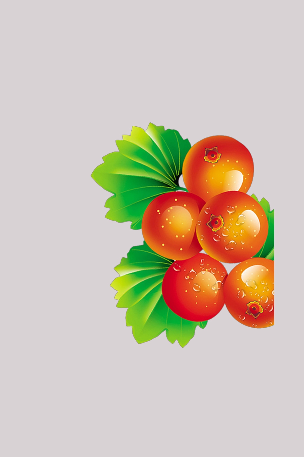 手绘山楂果图片素材装饰元素插画 免抠素材元素 (17)