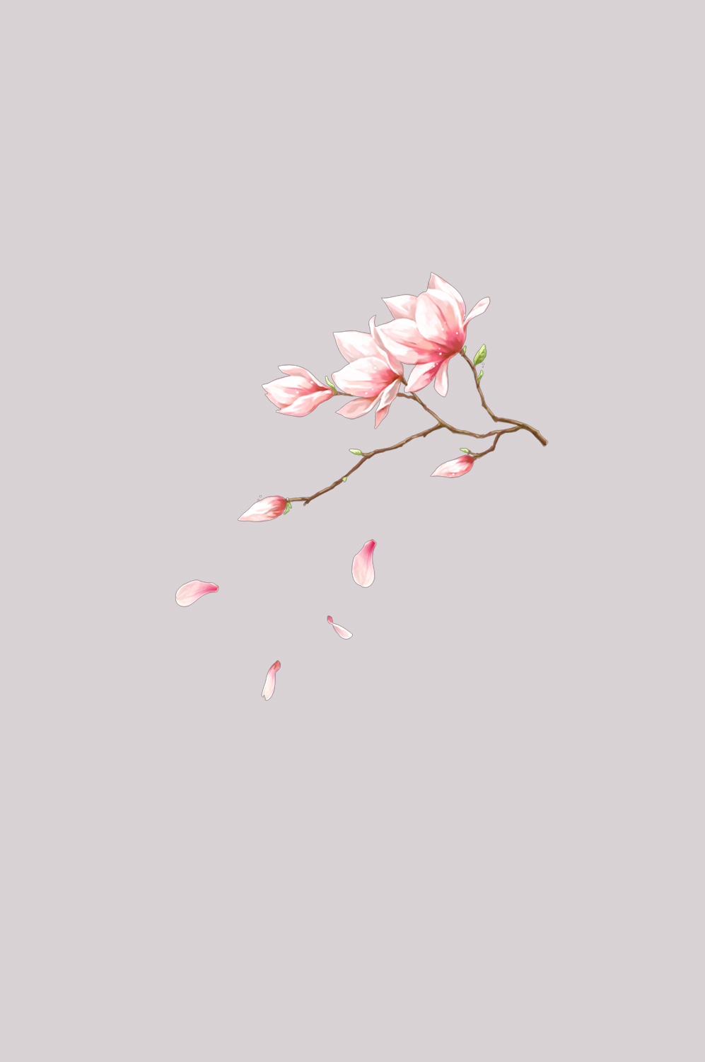 桃花素材图中国风海报设计桃树花枝透明背景27