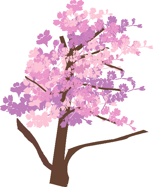唯美樱花花树花枝樱花飘落图片装饰插图免抠56