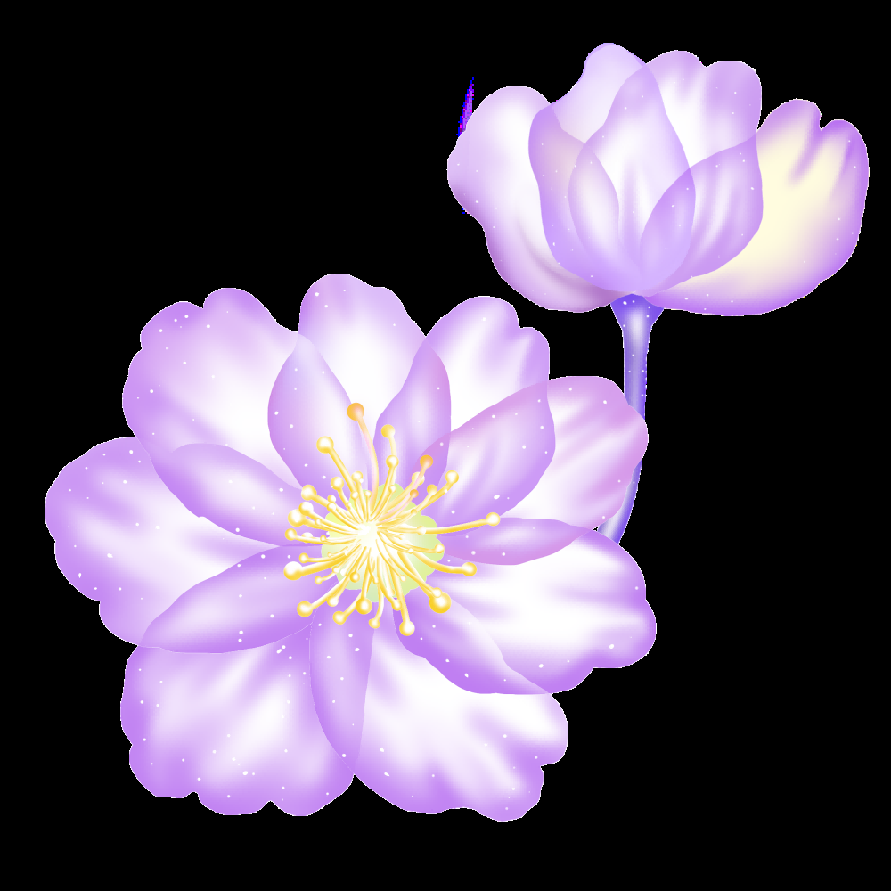 海棠花免抠元素装饰图案插画39