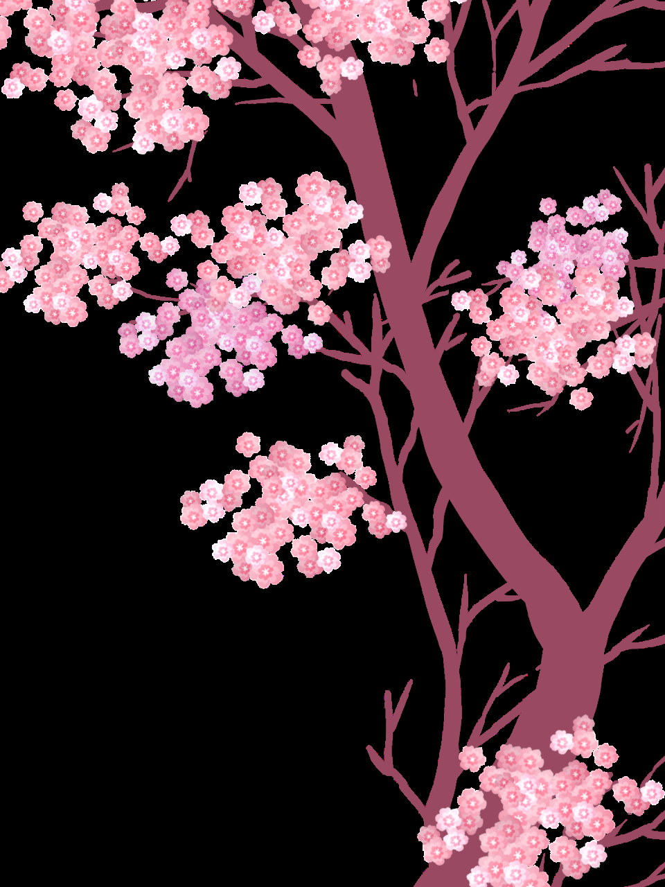 唯美樱花花树花枝樱花飘落图片装饰插图免抠51