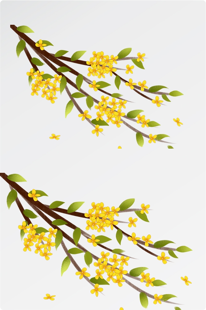 卡通手绘桂花花枝图案素材元素39