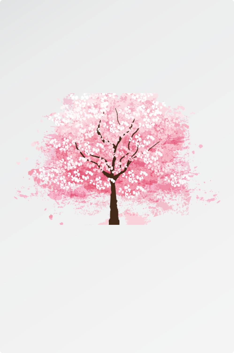 唯美樱花花树花枝樱花飘落图片装饰插图免抠23