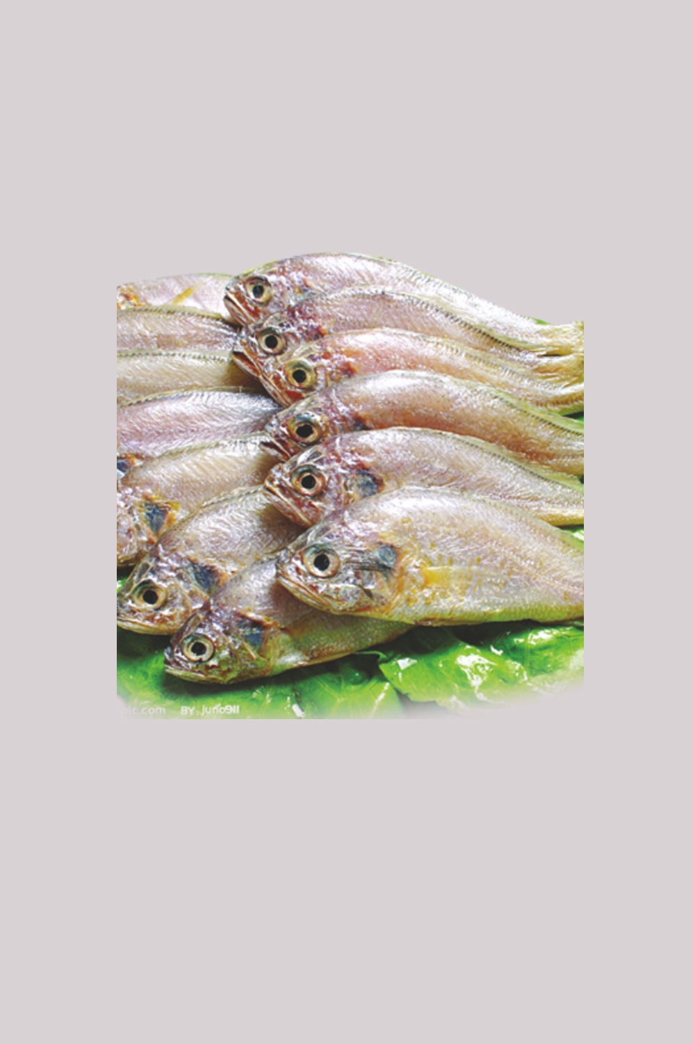 海鲜食材带鱼黄鱼素材图片元素插图免抠43