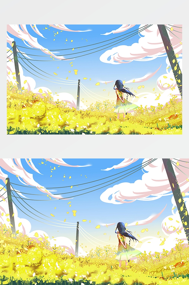 油菜花开田野风景背景插画图片banner海报29